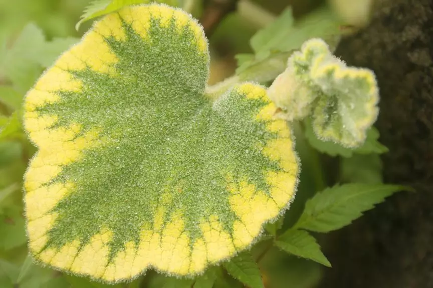 【HyperMesh宝典】之空间变换之美（独家美图放送）的图2